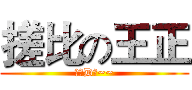 搓比の王正 (你个D毛~~)