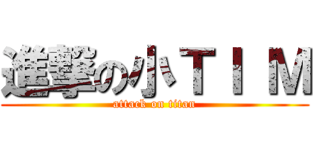 進撃の小ＴＩ Ｍ (attack on titan)