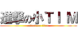 進撃の小ＴＩ Ｍ (attack on titan)