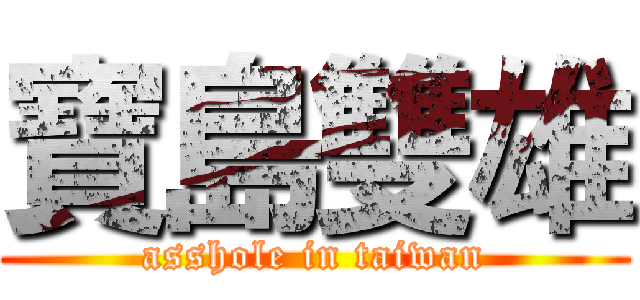 寶島雙雄 (asshole in taiwan)