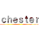 ｃｈｅｓｔｅｒ (s)