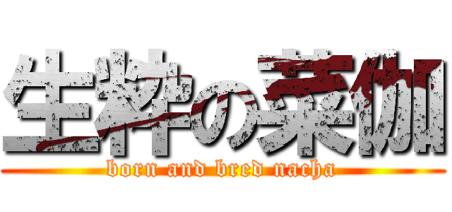 生粋の菜伽 (born and bred nacha)