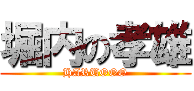 堀内の孝雄 (HARUOOO)