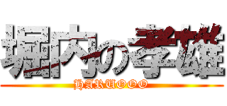 堀内の孝雄 (HARUOOO)