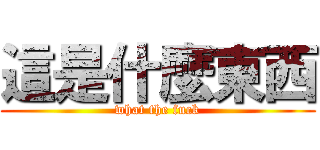 這是什麼東西 (what the fuck)