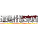 這是什麼東西 (what the fuck)