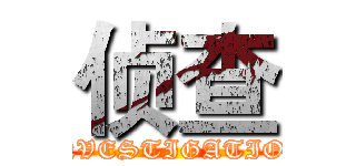 侦查 (INVESTIGATION)