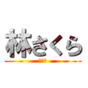 林さくら (はやし)