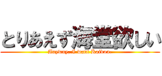 とりあえず海堂欲しい (Anyway, I want Kaidou.)