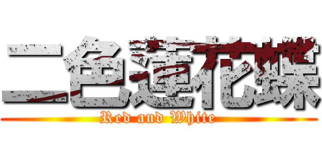 二色蓮花蝶 (Red and White)
