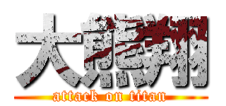 大熊翔 (attack on titan)