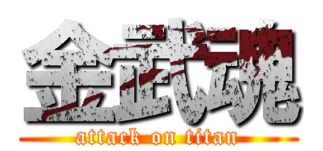 金武魂 (attack on titan)