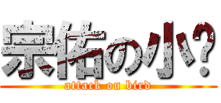 宗佑の小屌 (attack on bird)