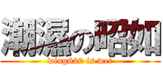 潮濕の昭如 (wing620 is wet)
