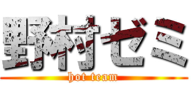 野村ゼミ (hot team)