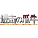 进击の瓜牛 (attack on Melon cattle)