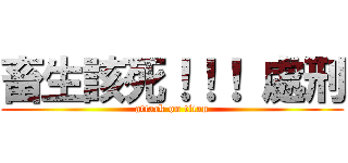 畜生該死！！！ 處刑 (attack on titan)