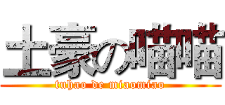 土豪の喵喵 (tuhao de miaomiao)