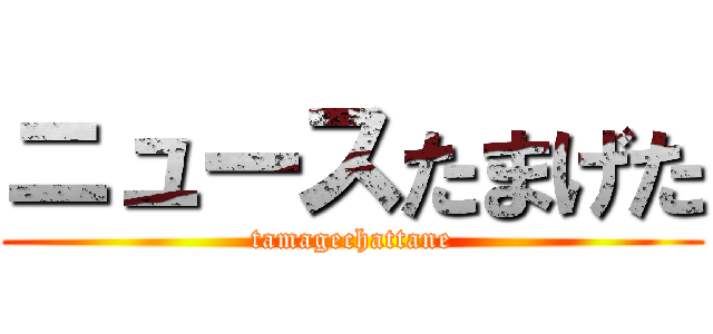ニュースたまげた (tamagechattane)