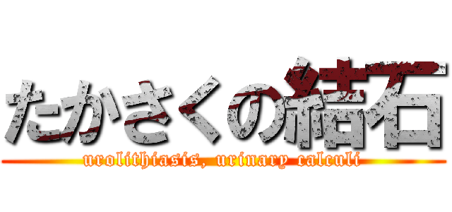 たかさくの結石 (urolithiasis, urinary calculi)