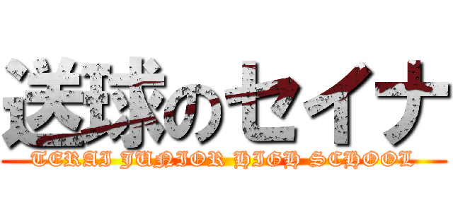 送球のセイナ (TERAI JUNIOR HIGH SCHOOL)