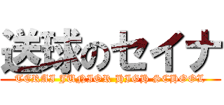 送球のセイナ (TERAI JUNIOR HIGH SCHOOL)