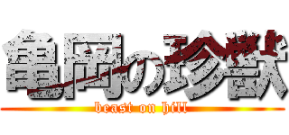 亀岡の珍獣 (beast on hill)