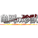 亀岡の珍獣 (beast on hill)