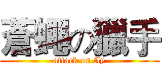 蒼蠅の獵手 (attack on fly)