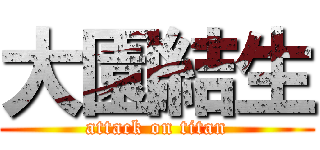 大園結生 (attack on titan)