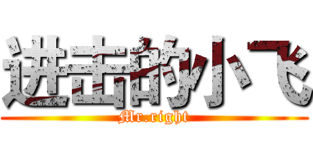 进击的小飞 (Mr.right)