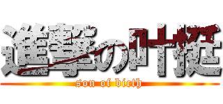 進撃の叶挺 (son of bicth)
