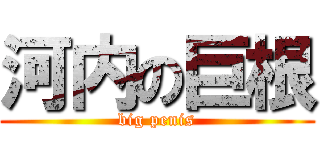 河内の巨根 (big penis)