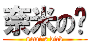 奈米の屌 (nami\'s dick)