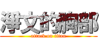 淨文的胸部 (attack on titan)