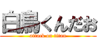 白鳥くんだお (attack on titan)