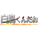 白鳥くんだお (attack on titan)