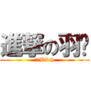 進撃の羽彤 (他是Bitch)