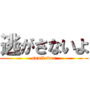 逃がさないよ (sunflower)