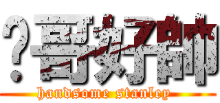 雞哥好帥 (handsome stanley )