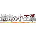 进击の小王桑 (attack on titan)