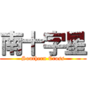 南十字星 (Southern Cross)