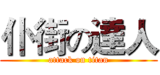 仆街の達人 (attack on titan)