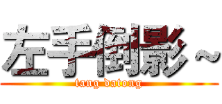 左手倒影～ (tang datong)