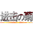 进击の菊 (attack on titan)