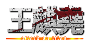 王麒堯 (attack on titan)