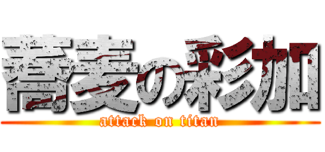 蕎麦の彩加 (attack on titan)