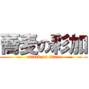 蕎麦の彩加 (attack on titan)