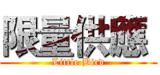 限量供應  (Little Bird)