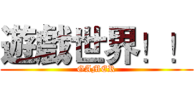 遊戲世界！！ (GAMER)